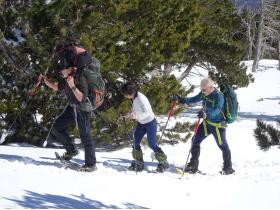 photo coins arrondis